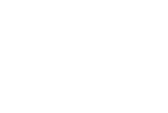 Adirondack Guitar